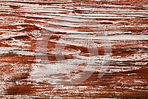 Wood texture background, wooden old grain board