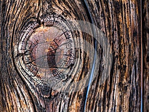 Textura dřeva 