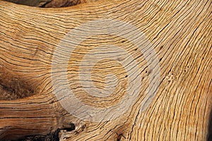 Wood texture