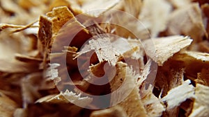 Wood texture close up of oak wood chips and sawdust