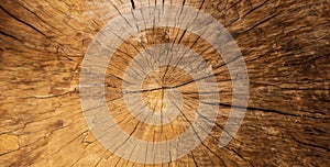 wood texture - close up