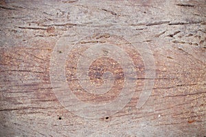 Wood texture closeup background