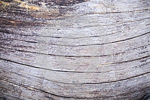 Wood texture closeup background