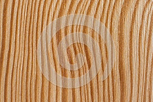 Wood Texture, Curved Lines