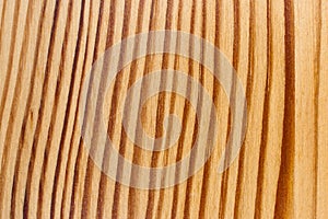 Wood Texture, Curved Regular Lines