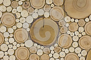 Wood texture of a cut of a round tree on a cut, various caliber. Background, wall, wallpapers for desktop, blank, pattern, copy