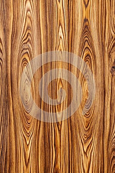 Wood texture. Wood texture for design and decoration