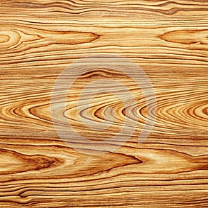 Wood texture. Wood texture for design and decoration