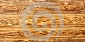 Wood texture. Wood texture for design and decoration