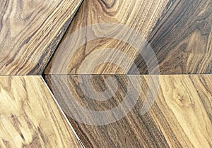 Wood texture with different color shades. Wood background