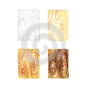 Wood texture drawing tutorial isolated on white background. Watercolor hand drawn detailed illustration. Art for design