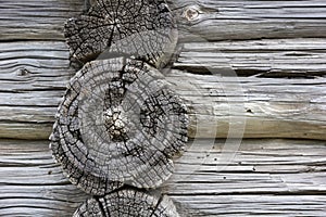 Wood texture. Fragment of old log house.