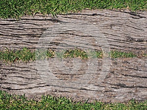 Wood texture with grass background