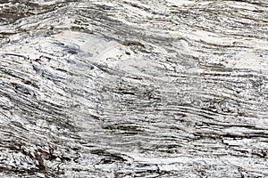 Wood texture. Gray timber board with weathered crack lines. Natural background for shabby chic design. Grey wooden floor