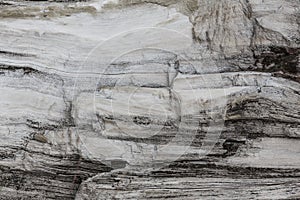 Wood texture. Gray timber board with weathered crack lines. Natural background for shabby chic design. Grey wooden floor