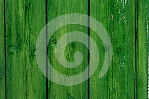 Wood texture in green. Boards of green color close up