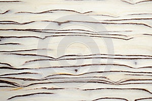 Wood texture.