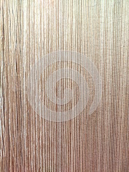 Wood texture at its best with viens and grooves seen distinctly photo