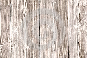 Wood Texture, Light Wooden Textured Background, Grain Planks