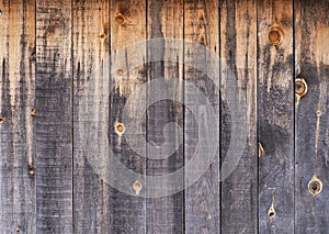 Wood texture background photo