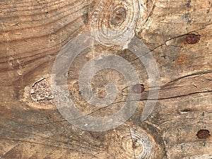 Wood texture. natural wood and nature drawing.