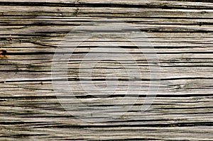 Textura de madera naturaleza forma 