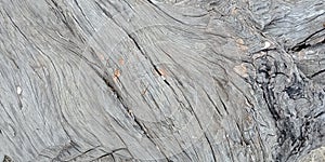 Wood with texture,nature landscapes, Lakhnadon India, picture taken on February 2018,landscapes background