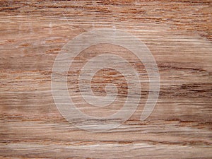 Wood texture. Oak tree sheet surface