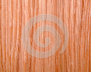 Wood texture. Oak tree sheet surface