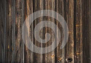 Wood texture plank grain background