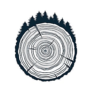 Wood texture rings slice of tree wooden stump photo