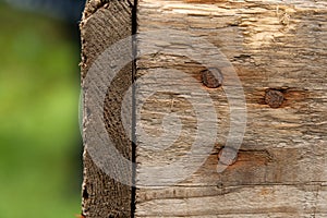 Wood texture with rusty nails