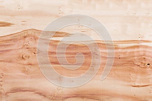 Wood texture, stock photo, old background tree