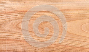 Wood texture, stock photo, old background tree