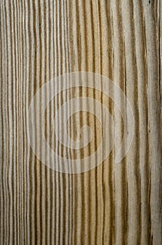 Wood texture with streaks detail