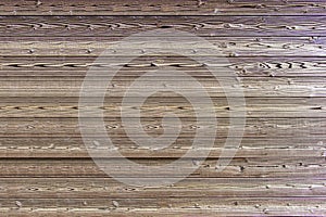 Wood texture. The surface of the gray natural wooden background for design decoration