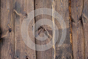 Wood texture. Surface of teak wood background for design and decoration