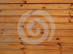 Wood texture timber tree