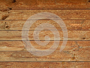 Wood texture timber tree