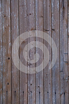 Wood texture, tree, nature, background, texured