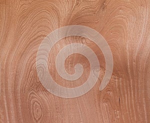 Wood Texture Veneer Abstract Natural Grain Pattern for Background Image