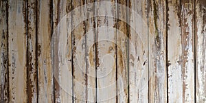 Wood texture white big weathered wooden background from plank