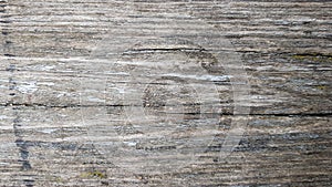 Wood texture White wood texture with natural patterns background. Wood flooring, old background surface from natural trees