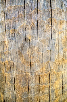 Wood texture wood-carvings