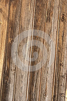 Wood texture with wood's grain.