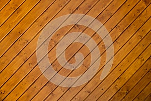 Wood texture/wood texture background