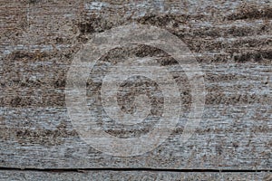 Wood texture/wood texture background