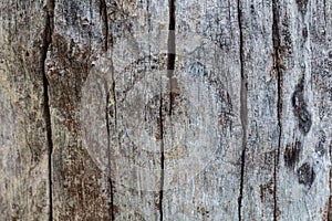 Wood texture/wood texture background