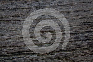 Wood texture/wood texture background