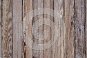 Wood texture. Wood texture for design